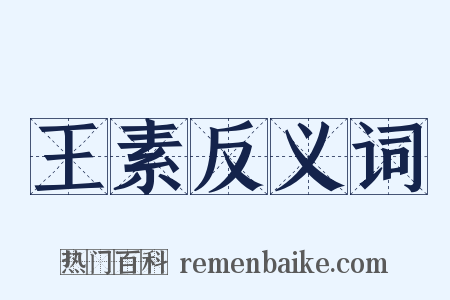 王素反义词是什么意思的图片